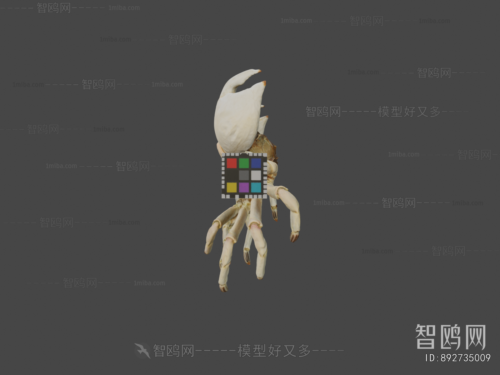 Modern Aquatic Animals