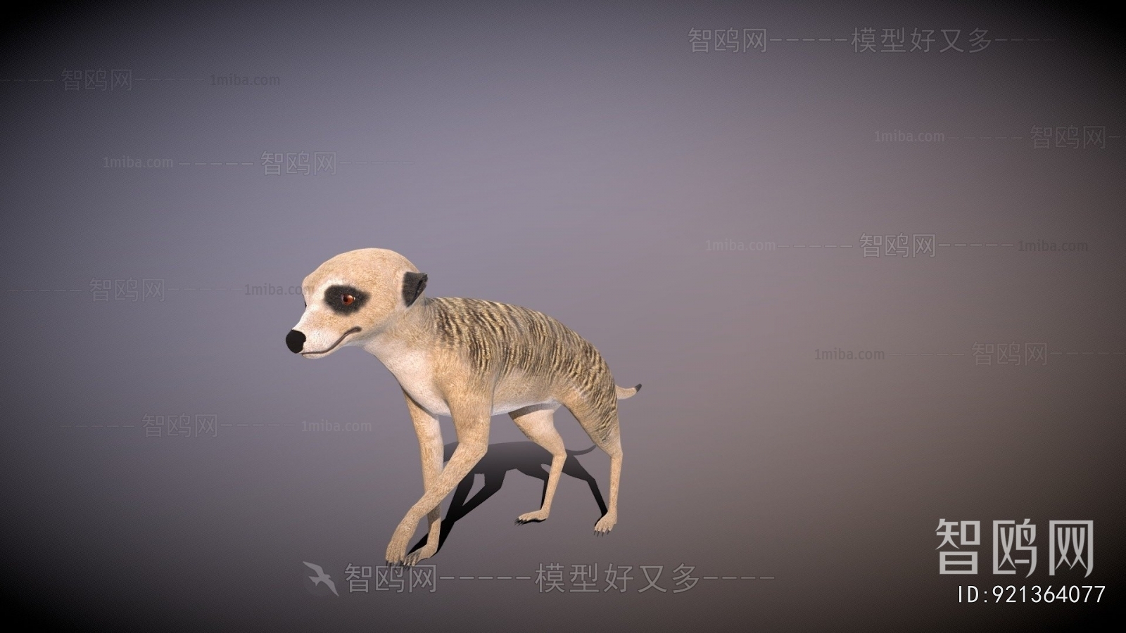 Modern Animal
