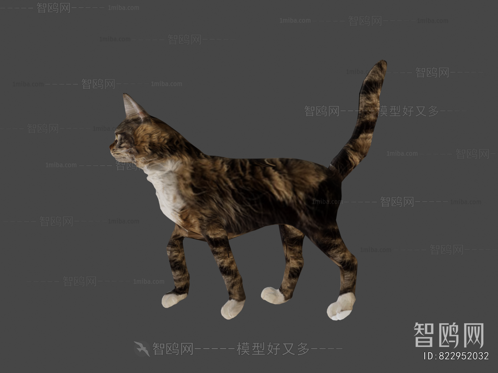 Modern Animal Cat