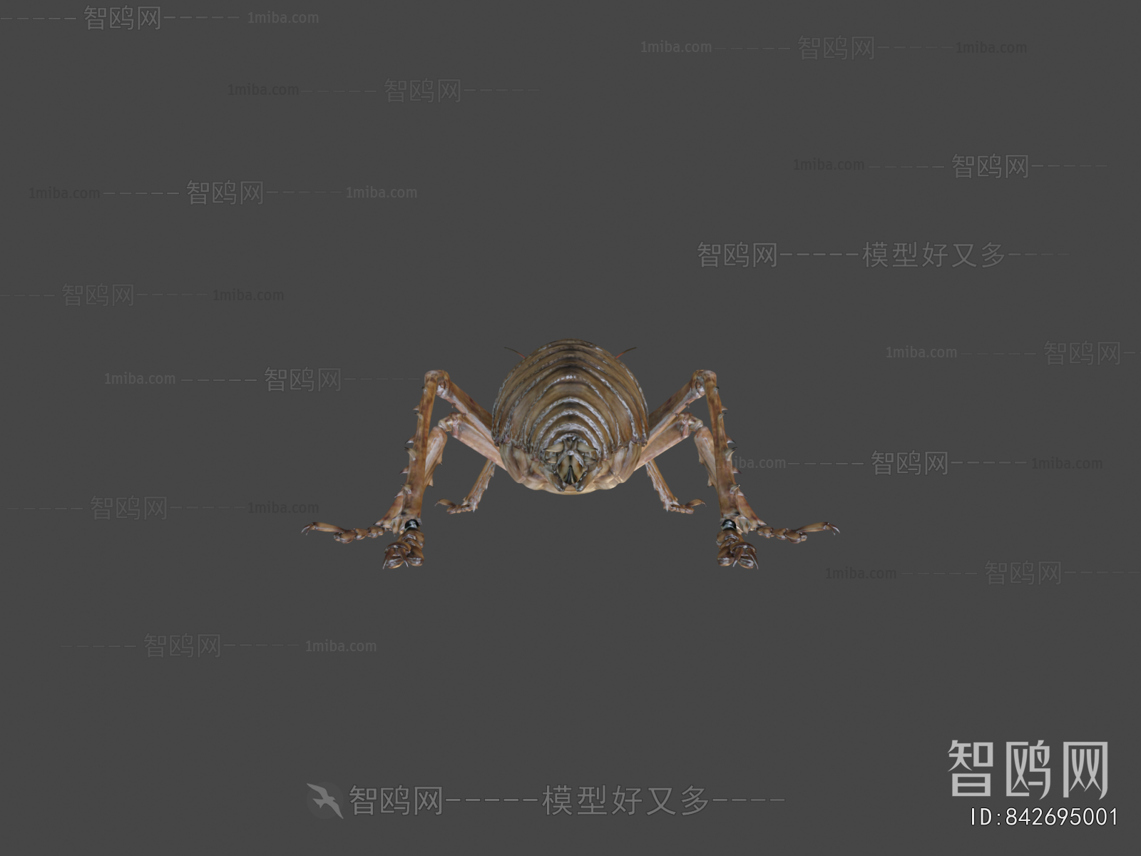 Modern Animal