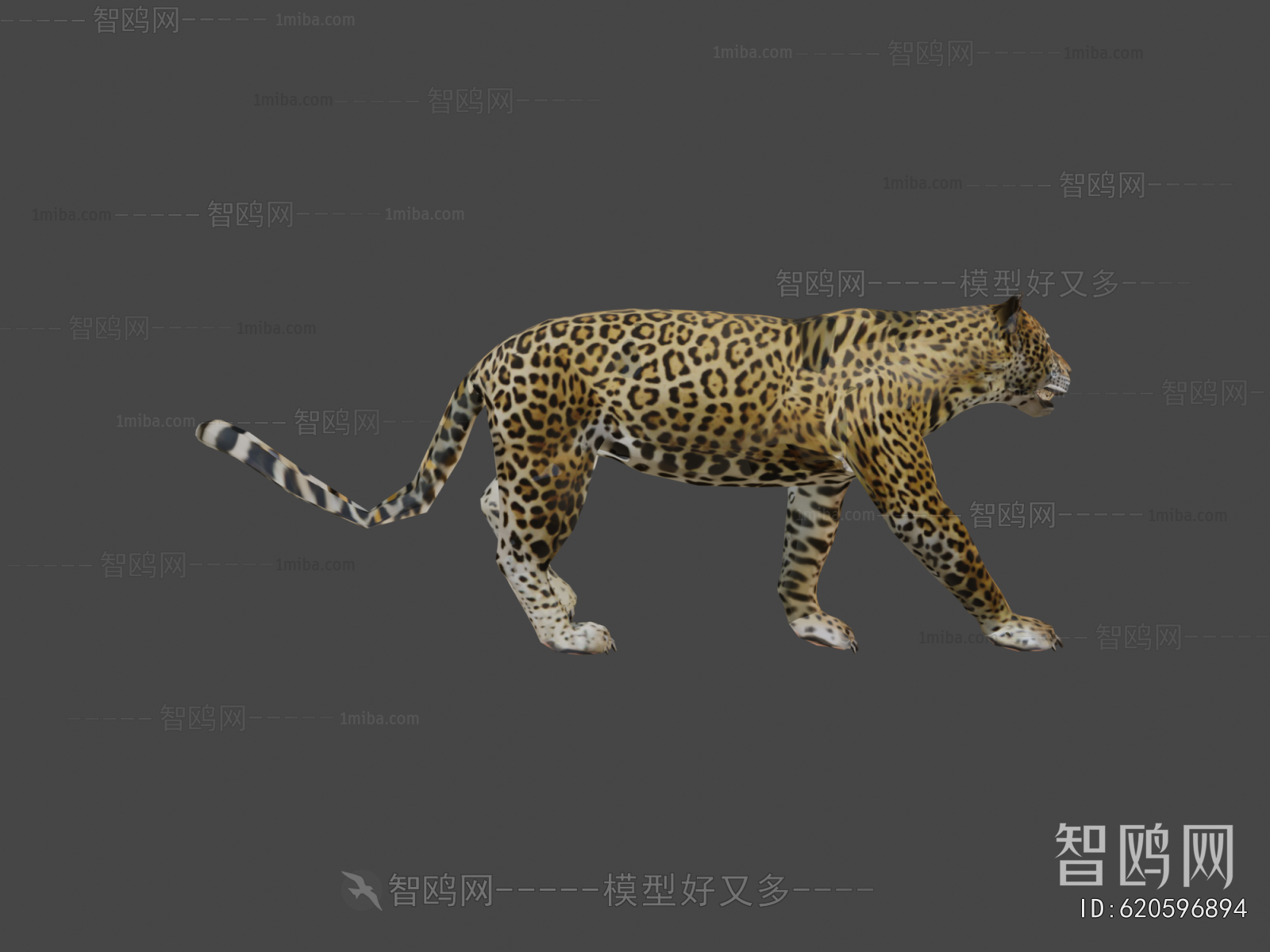 Modern Mammal