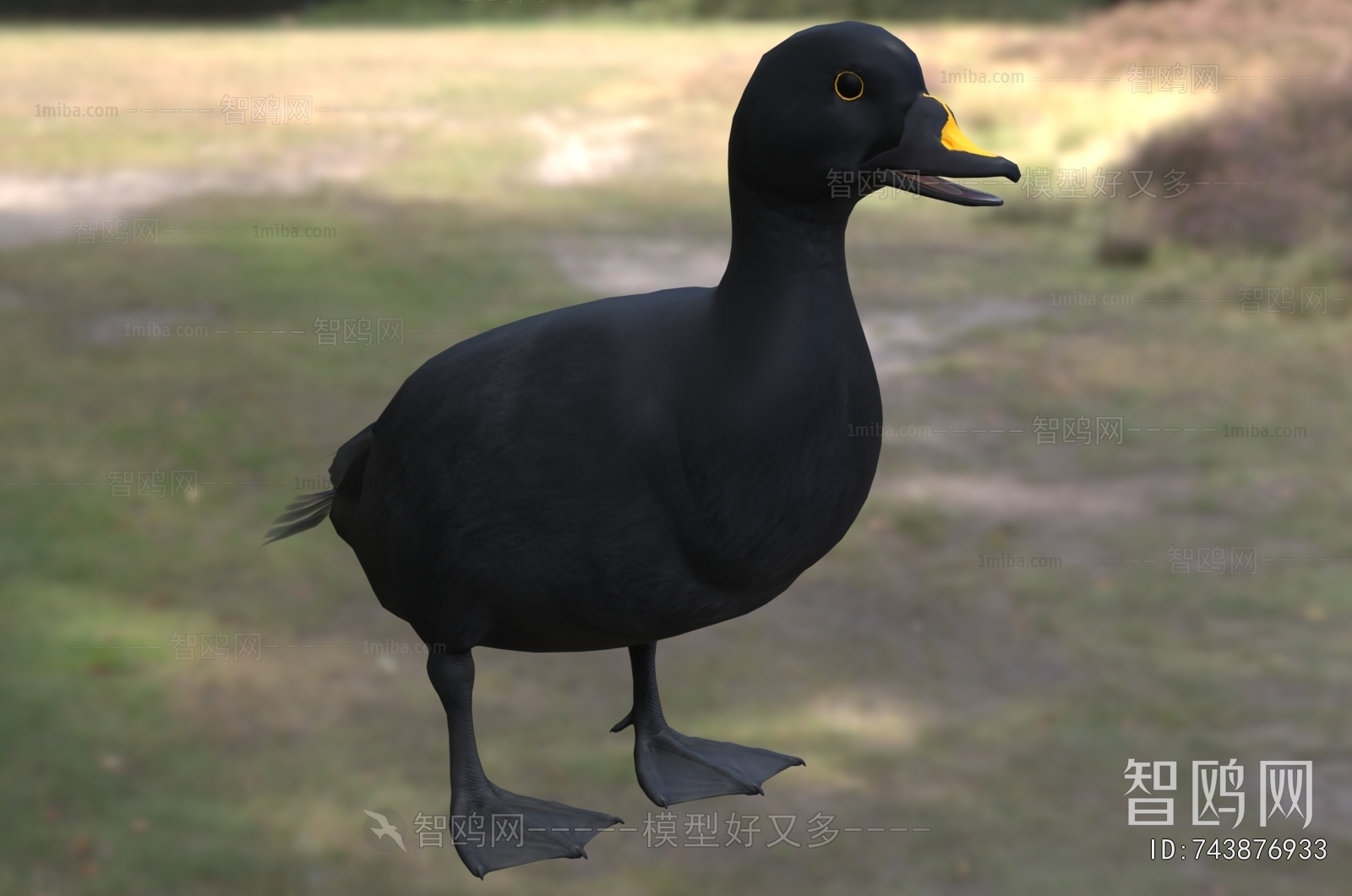 Modern Poultry Animal