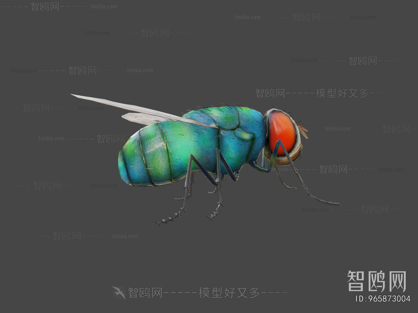 Modern Animal
