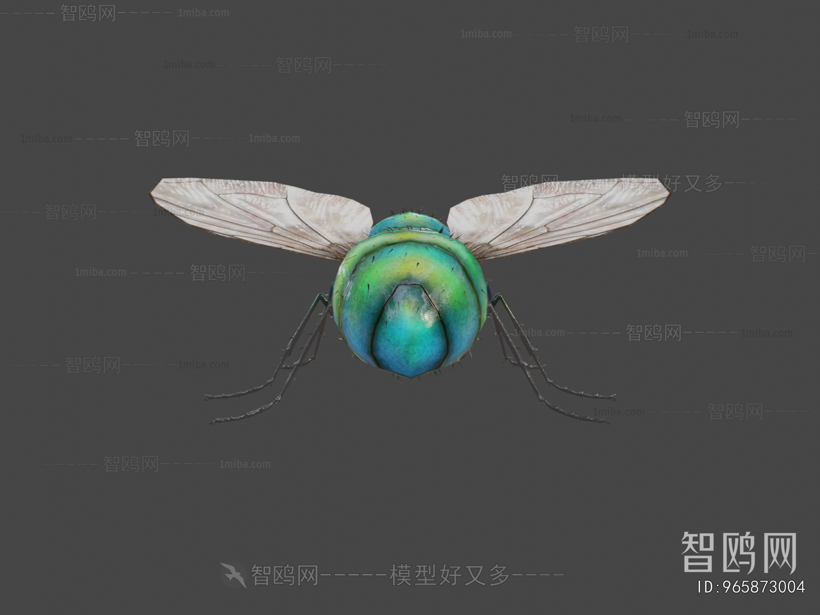 Modern Animal