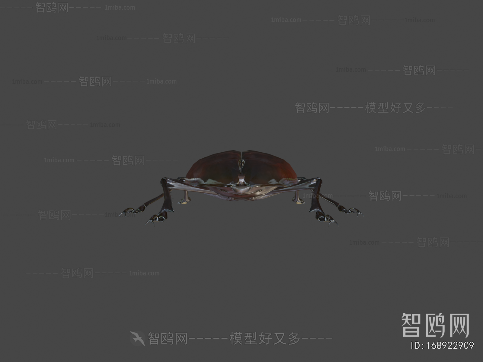 Modern Reptile