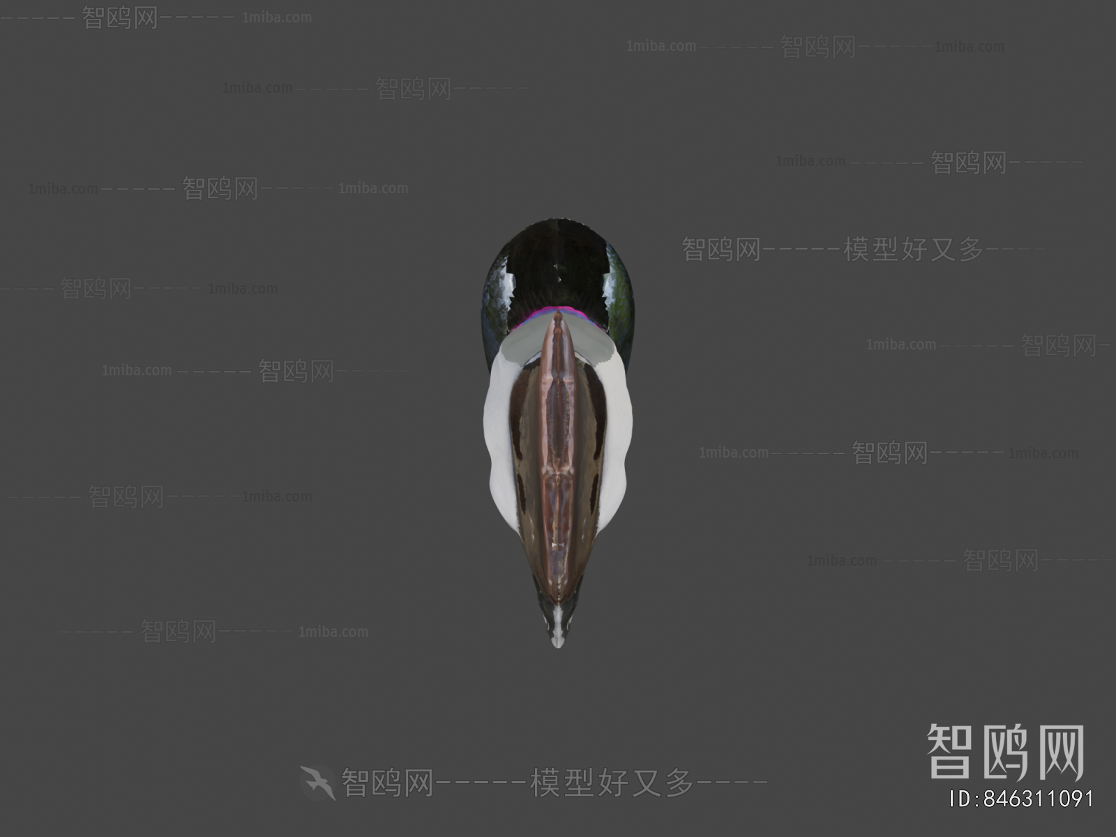 Modern Animal