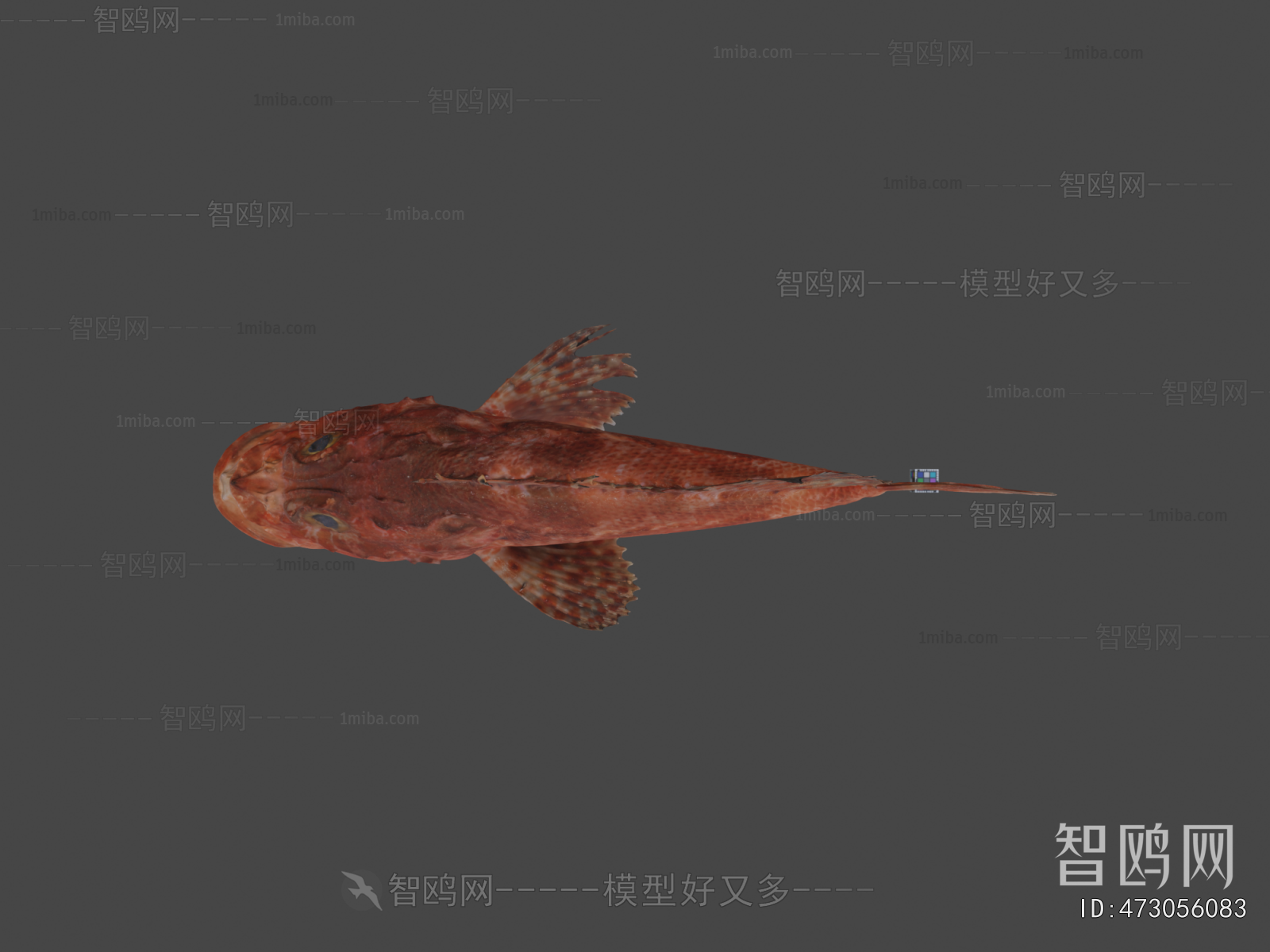 Modern Aquatic Animals