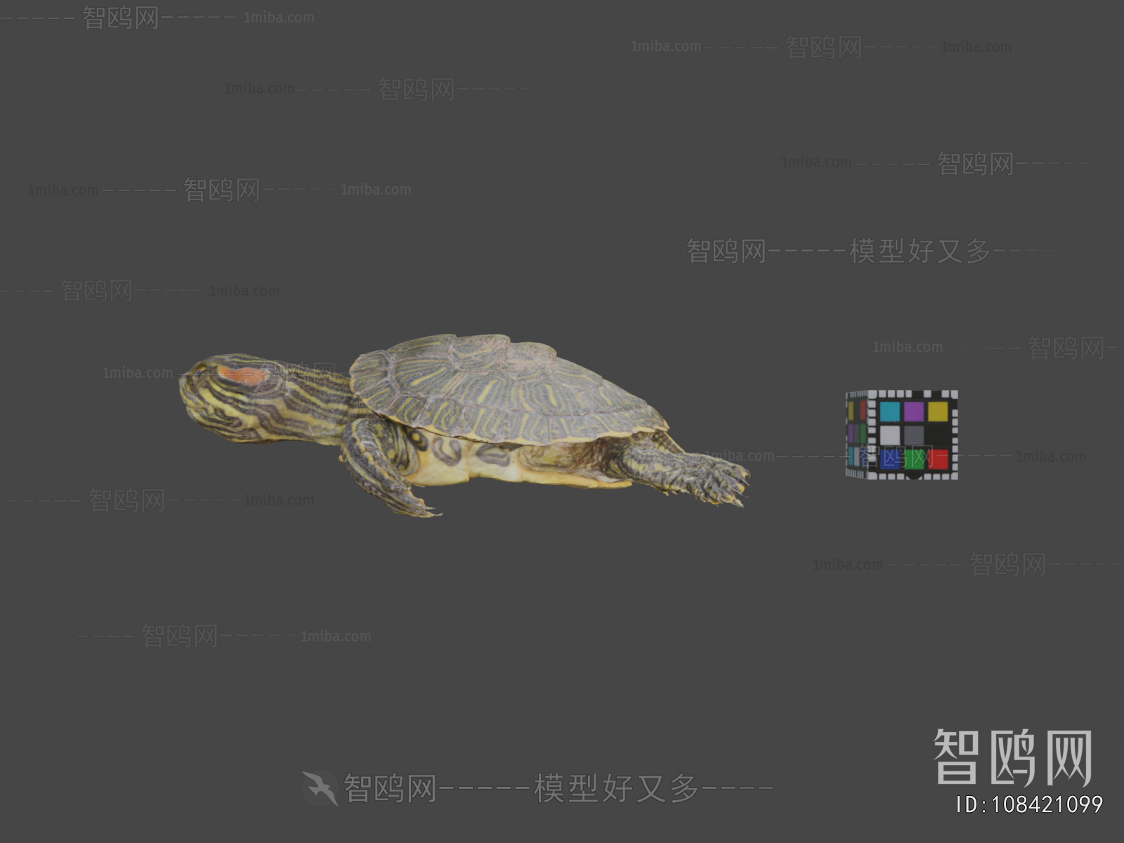 Modern Animal