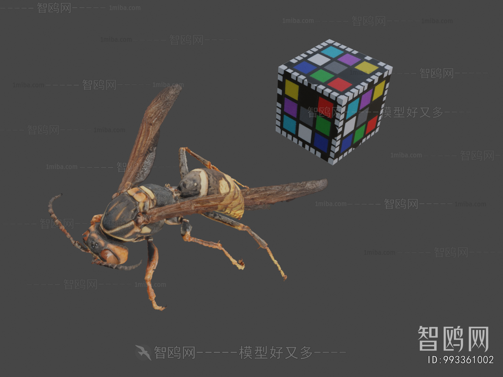 Modern Animal