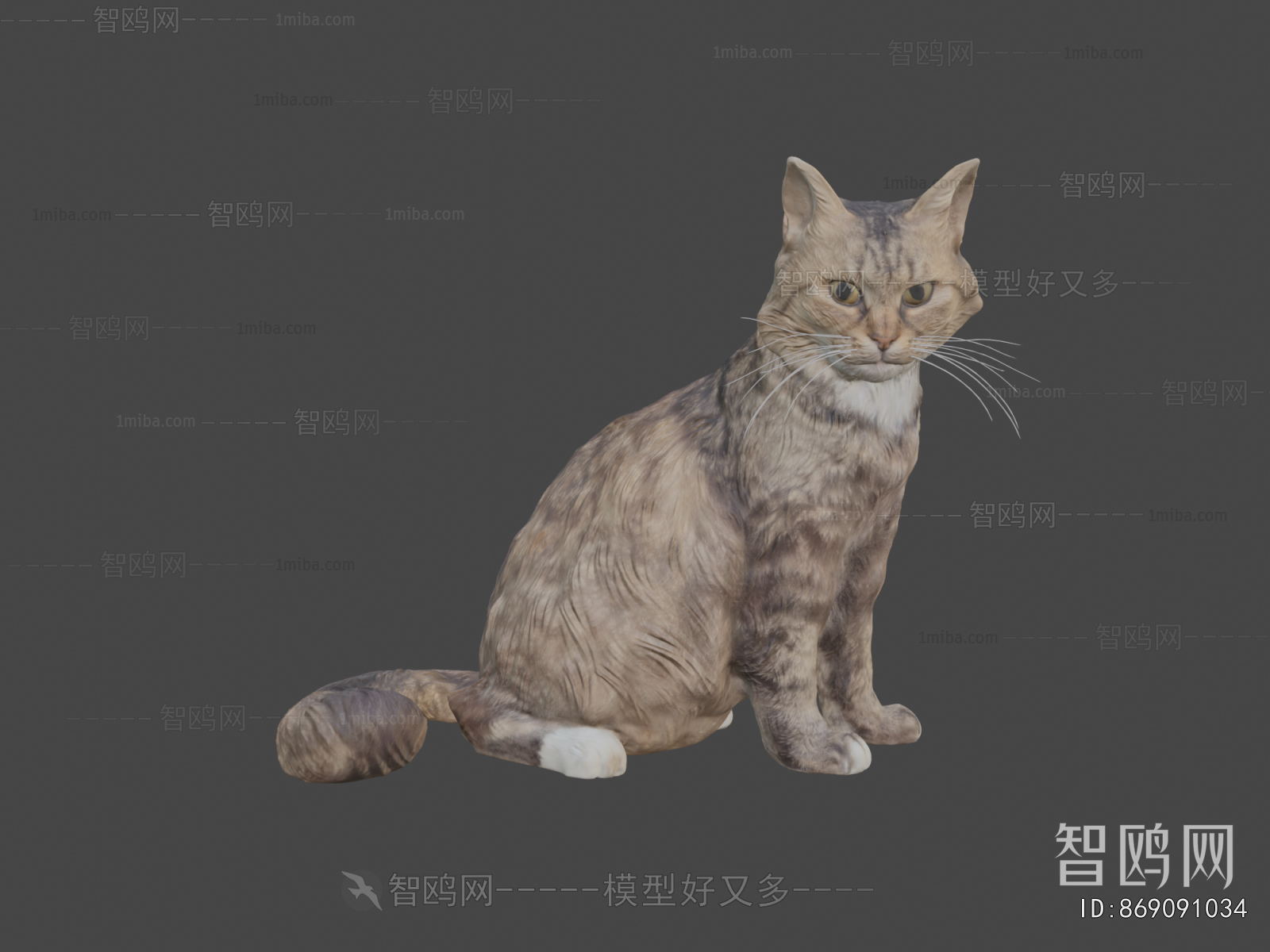 Modern Animal Cat