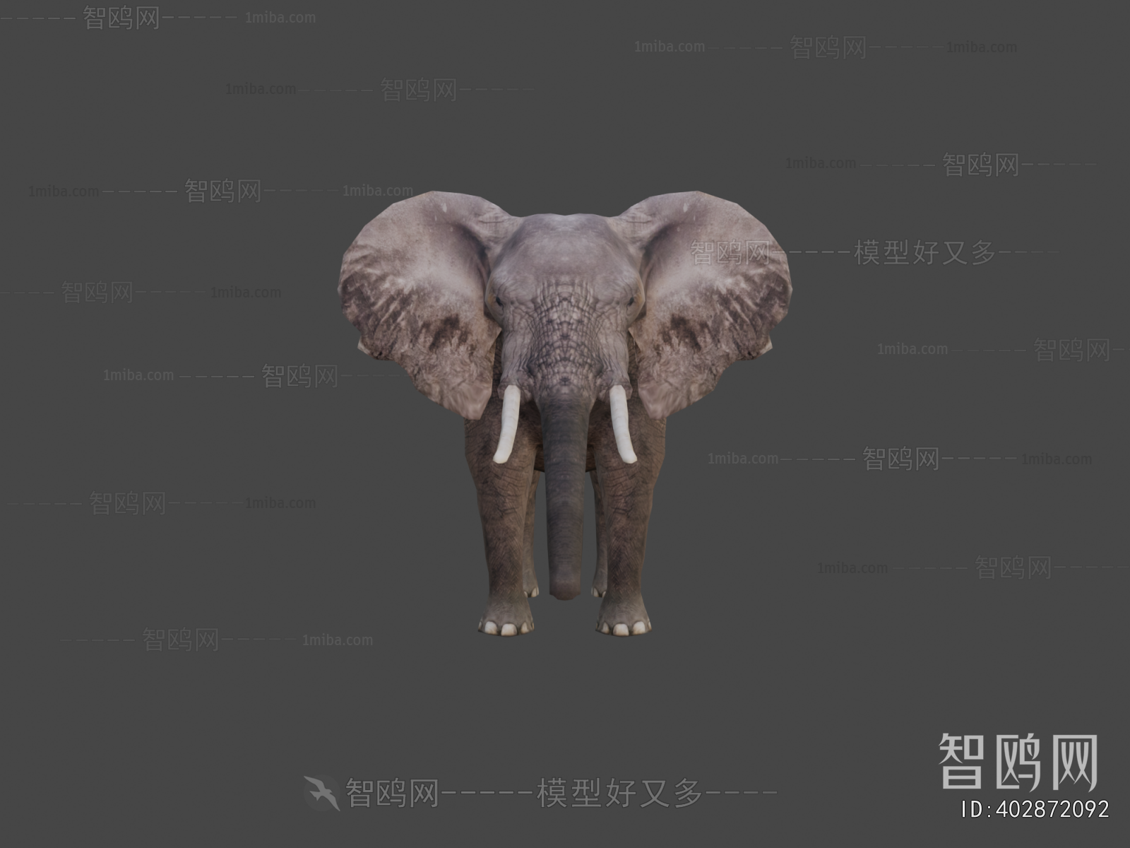 Modern Mammal
