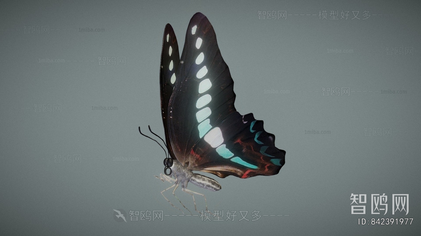 Modern Animal