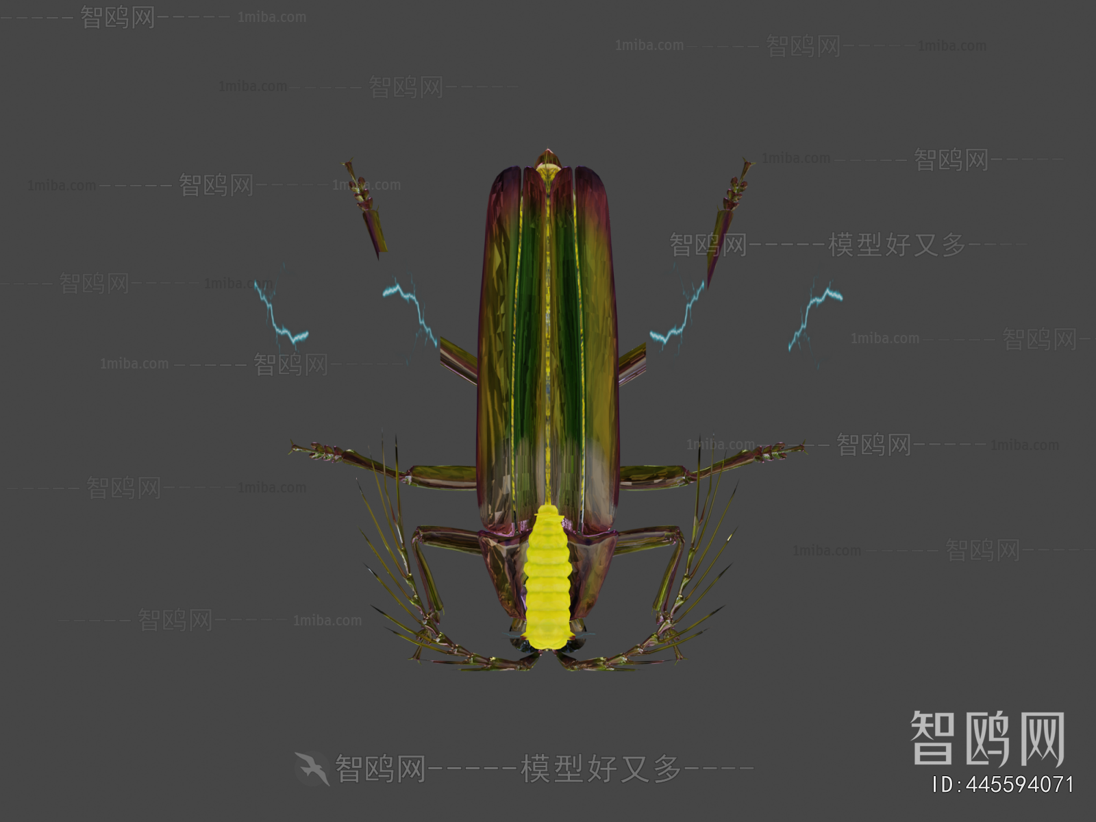 Modern Animal
