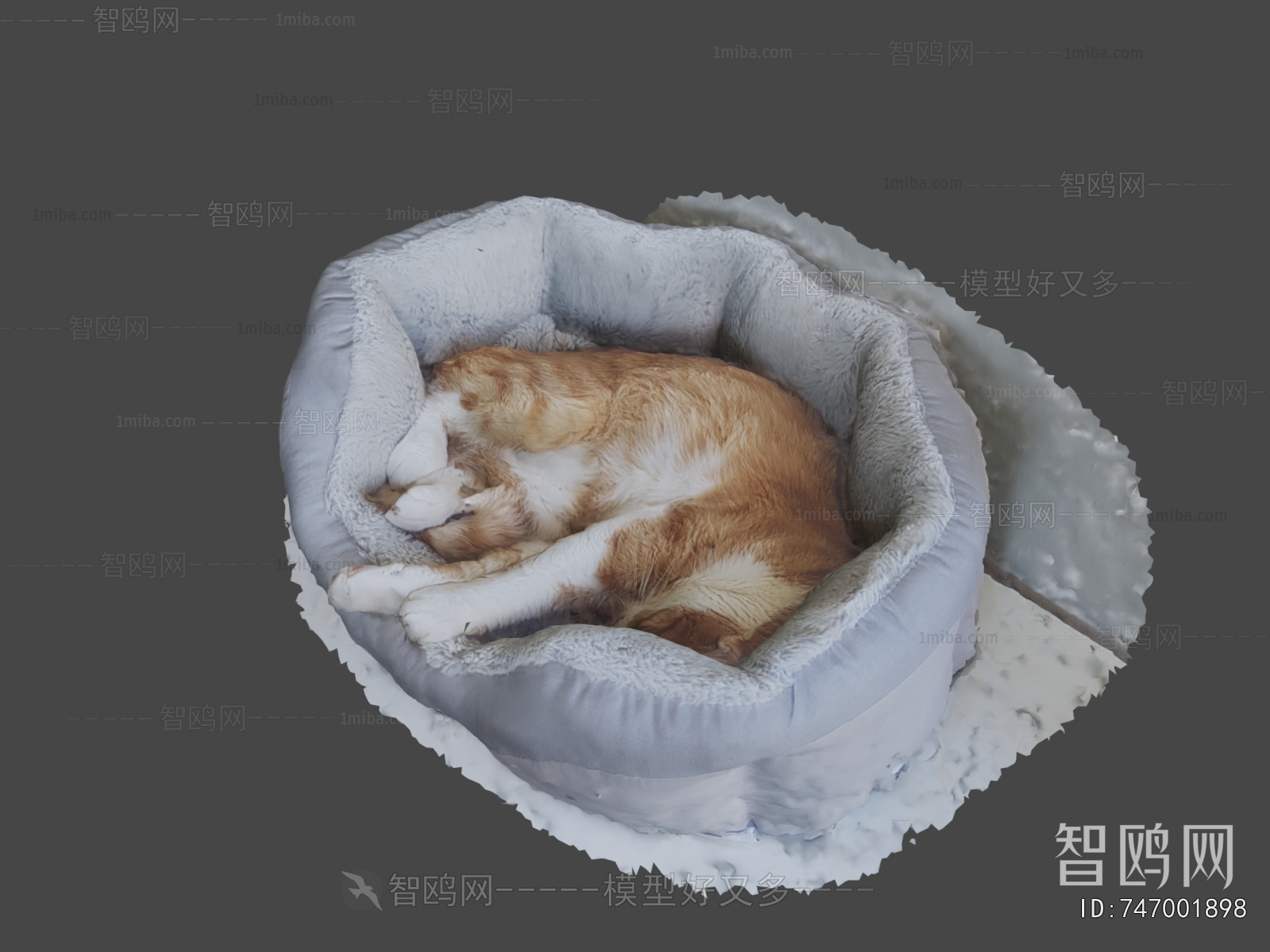Modern Animal Cat