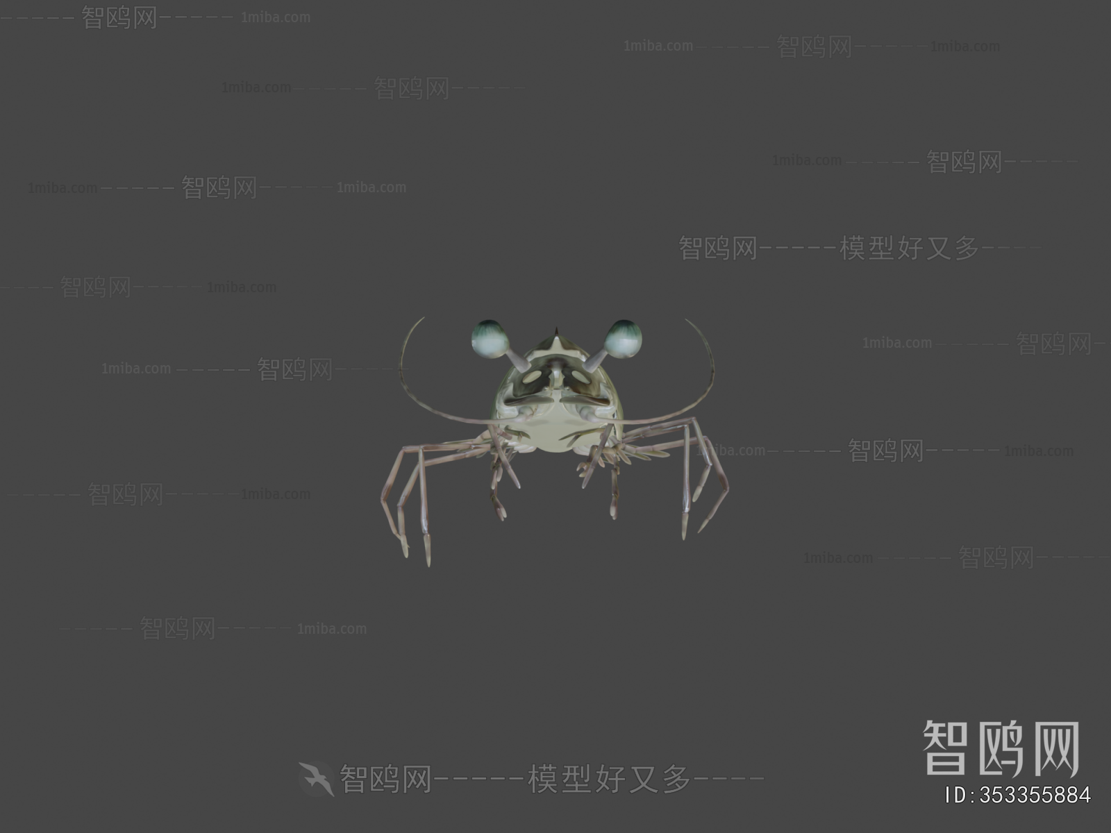 Modern Animal
