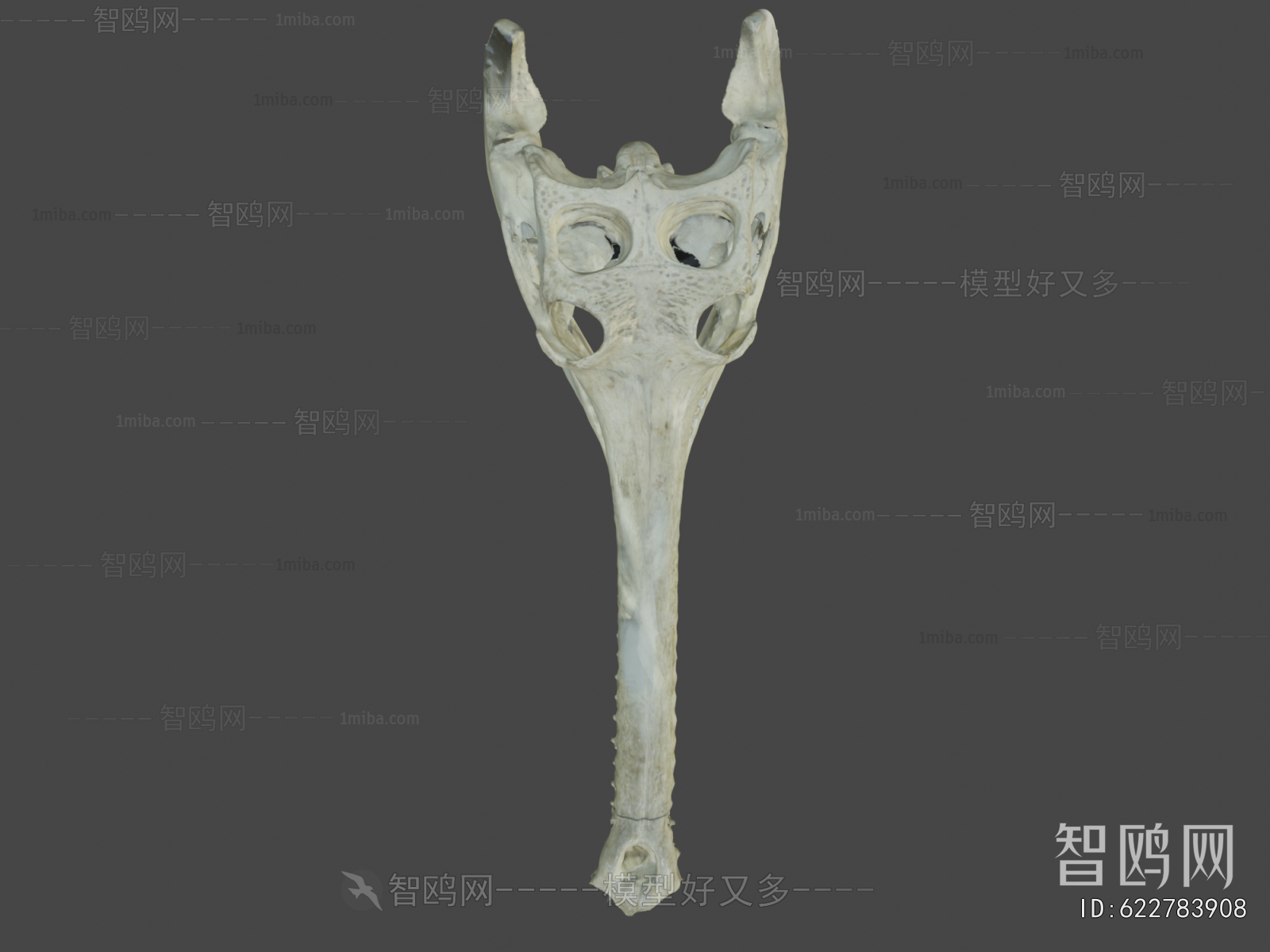 Modern Medical Equipment