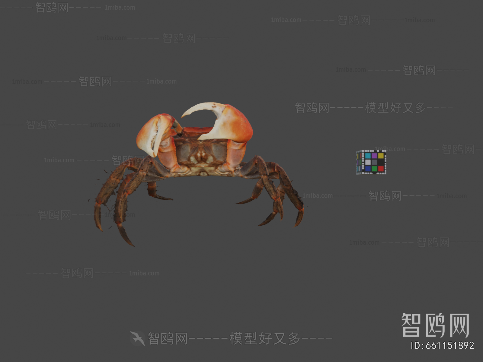 Modern Animal