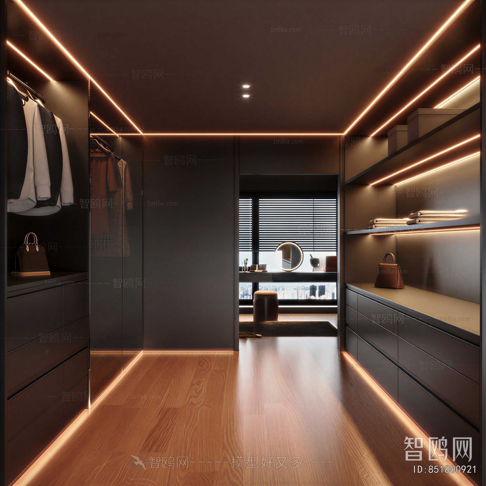 Modern Clothes Storage Area
