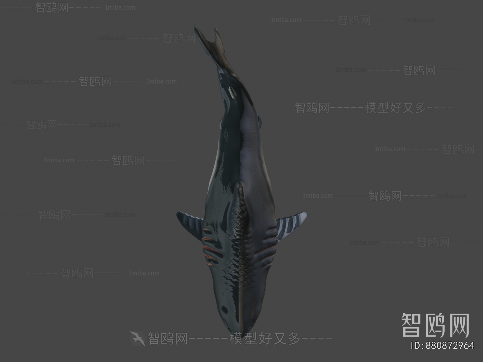 Modern Animal
