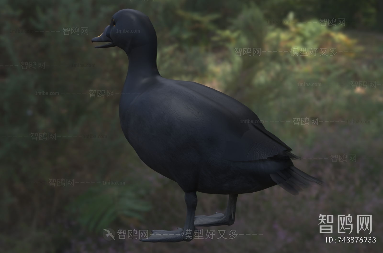 Modern Poultry Animal