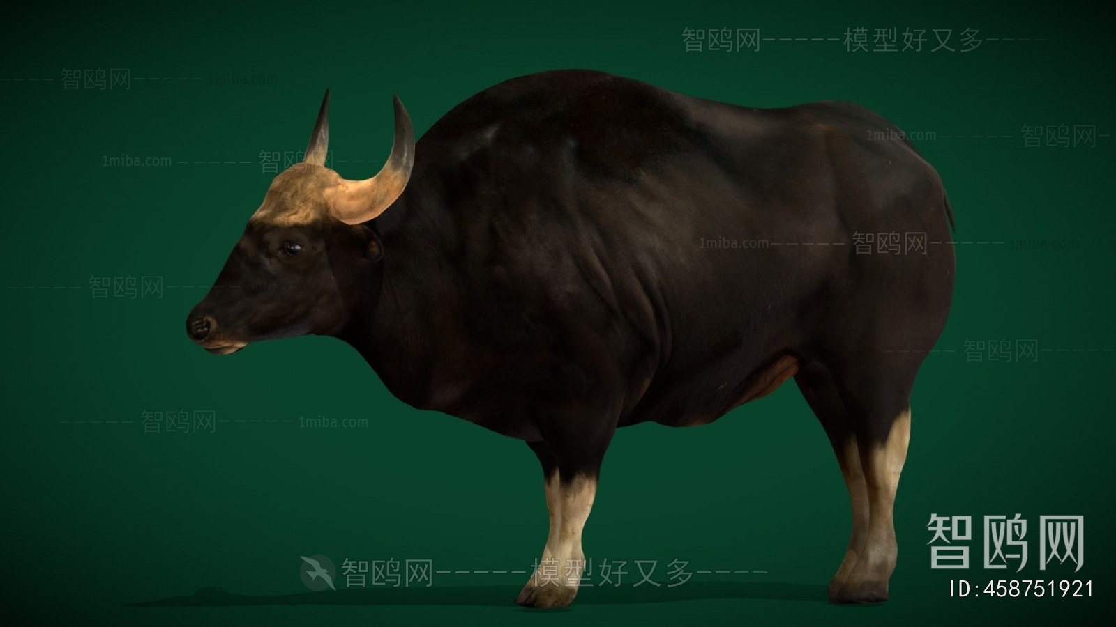 Modern Mammal