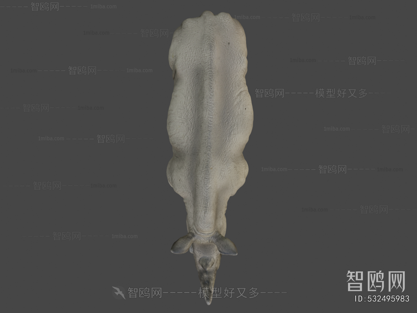 Modern Mammal