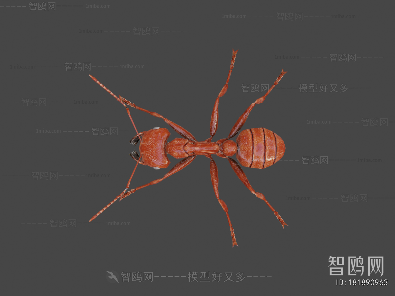 Modern Animal