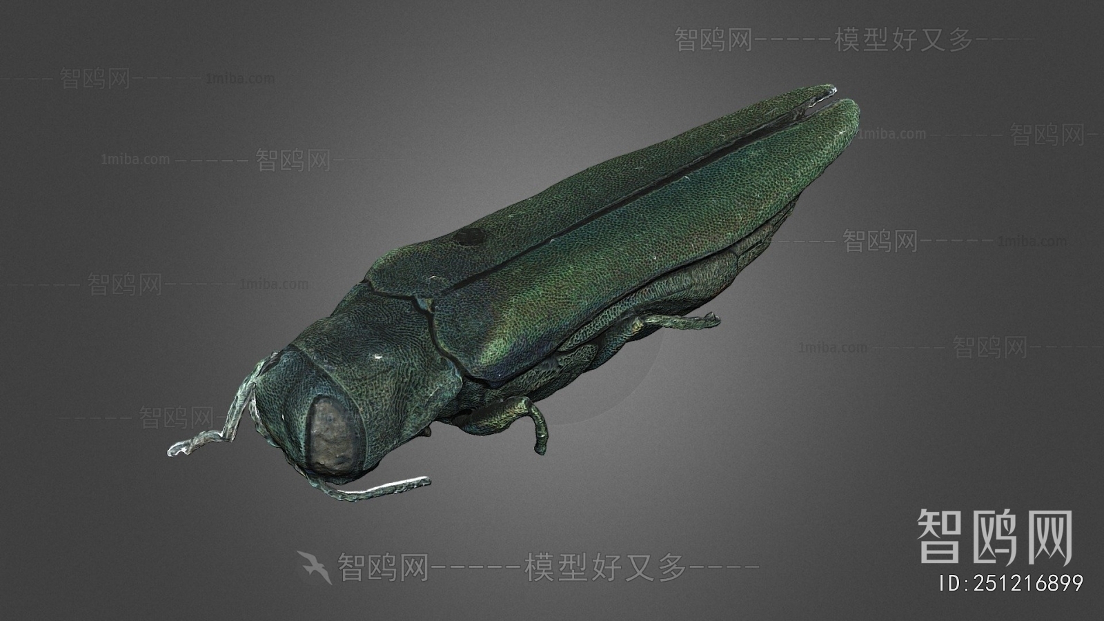 Modern Reptile