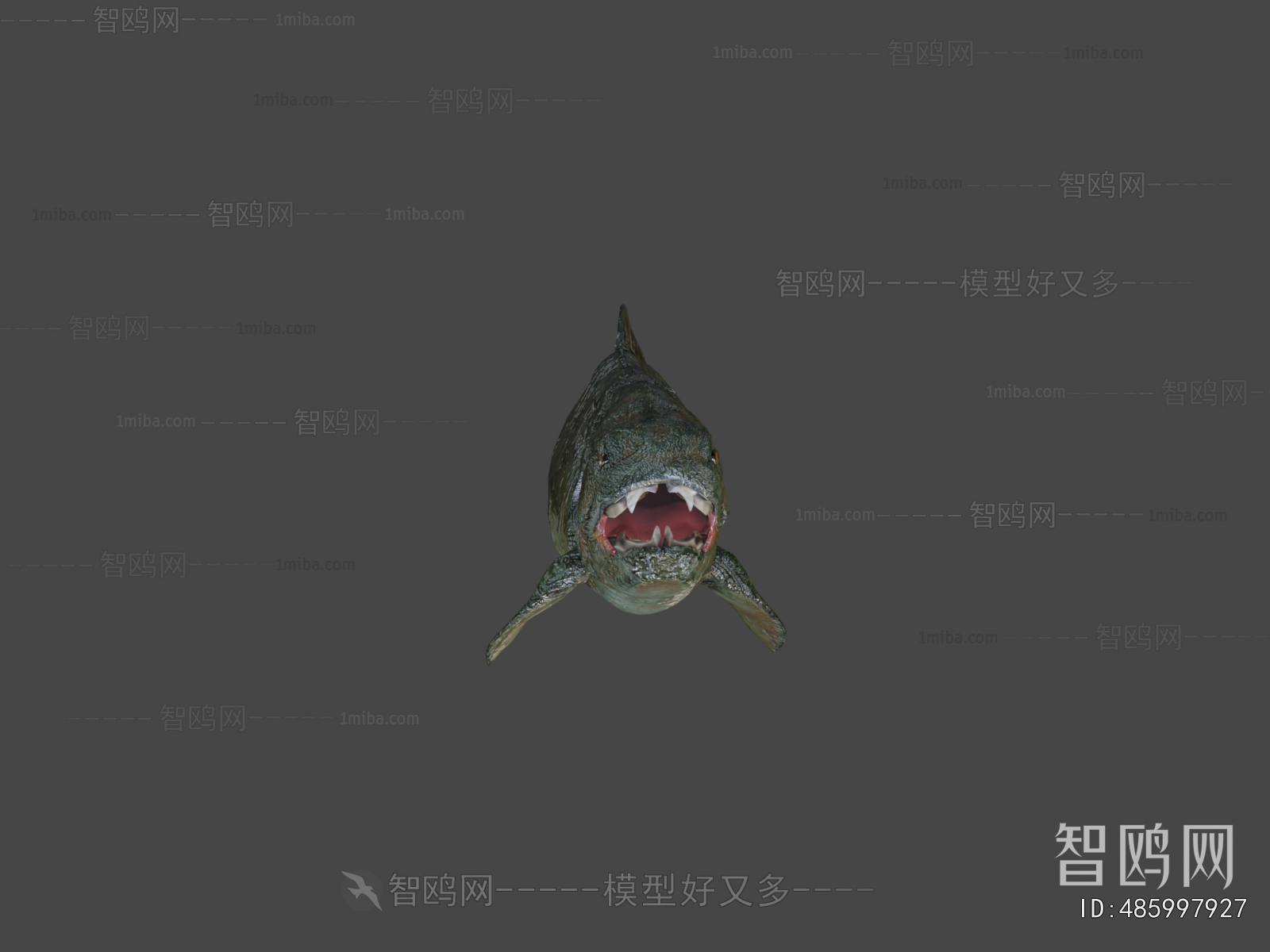 Modern Aquatic Animals