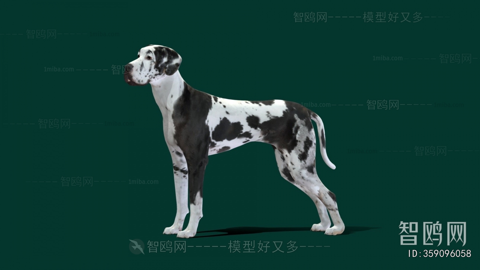Modern Animal