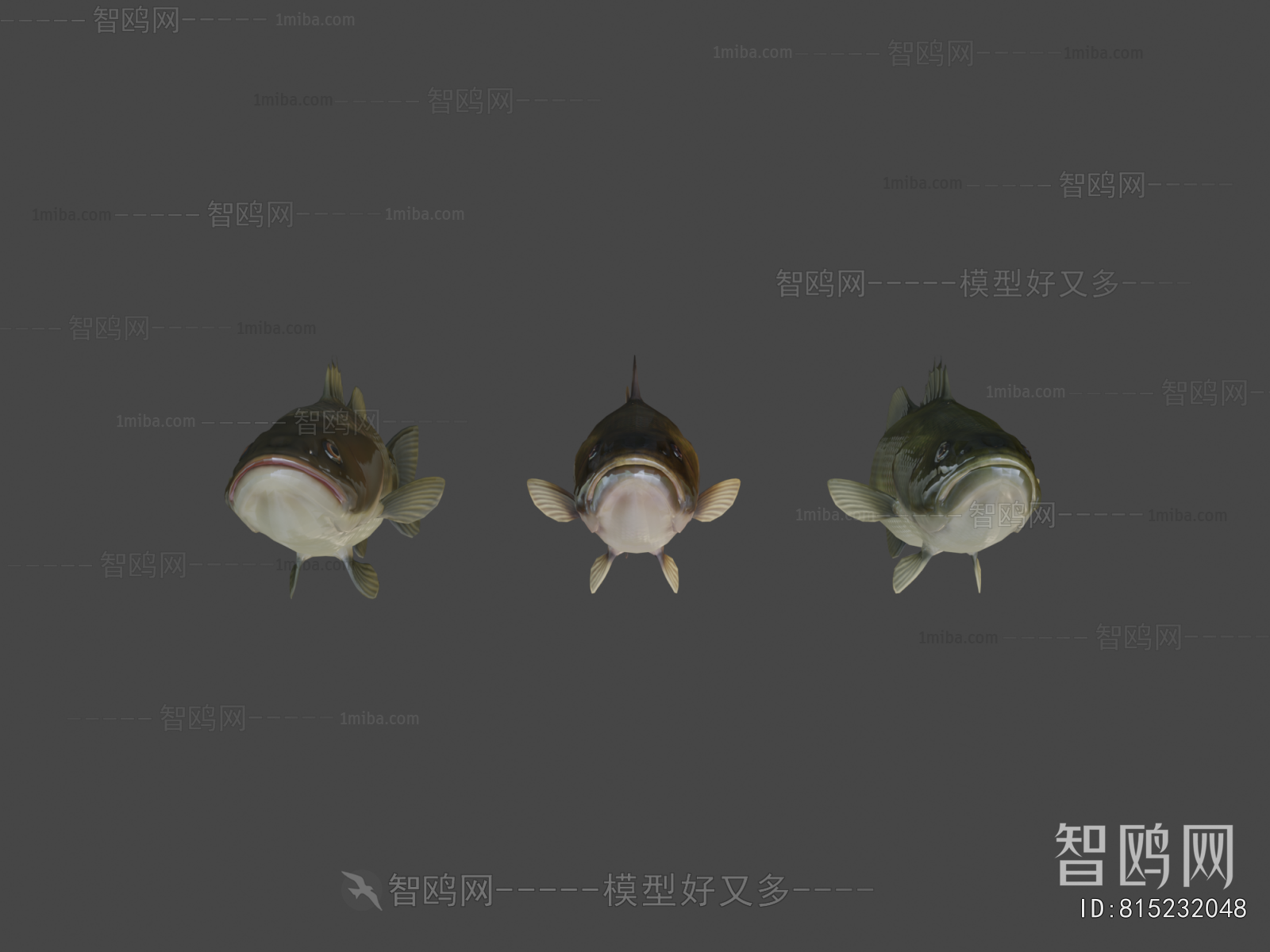 Modern Aquatic Animals