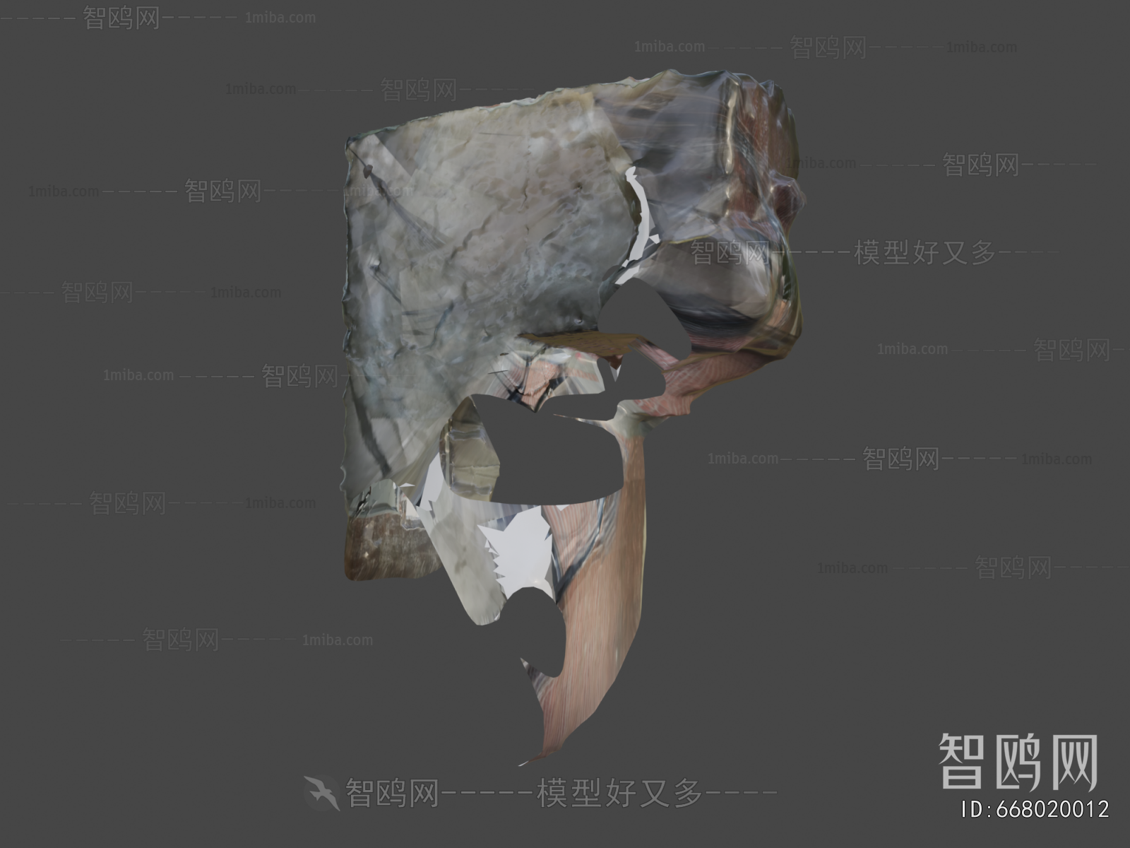 Modern Animal