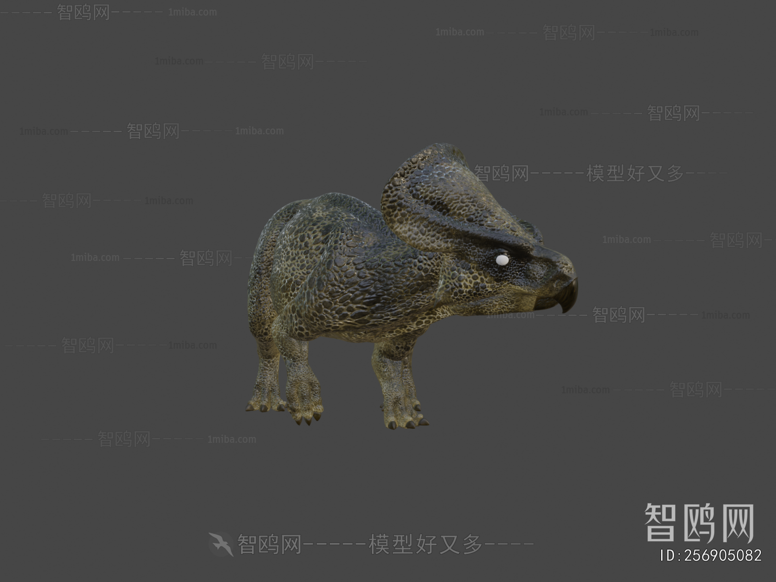 Modern Animal