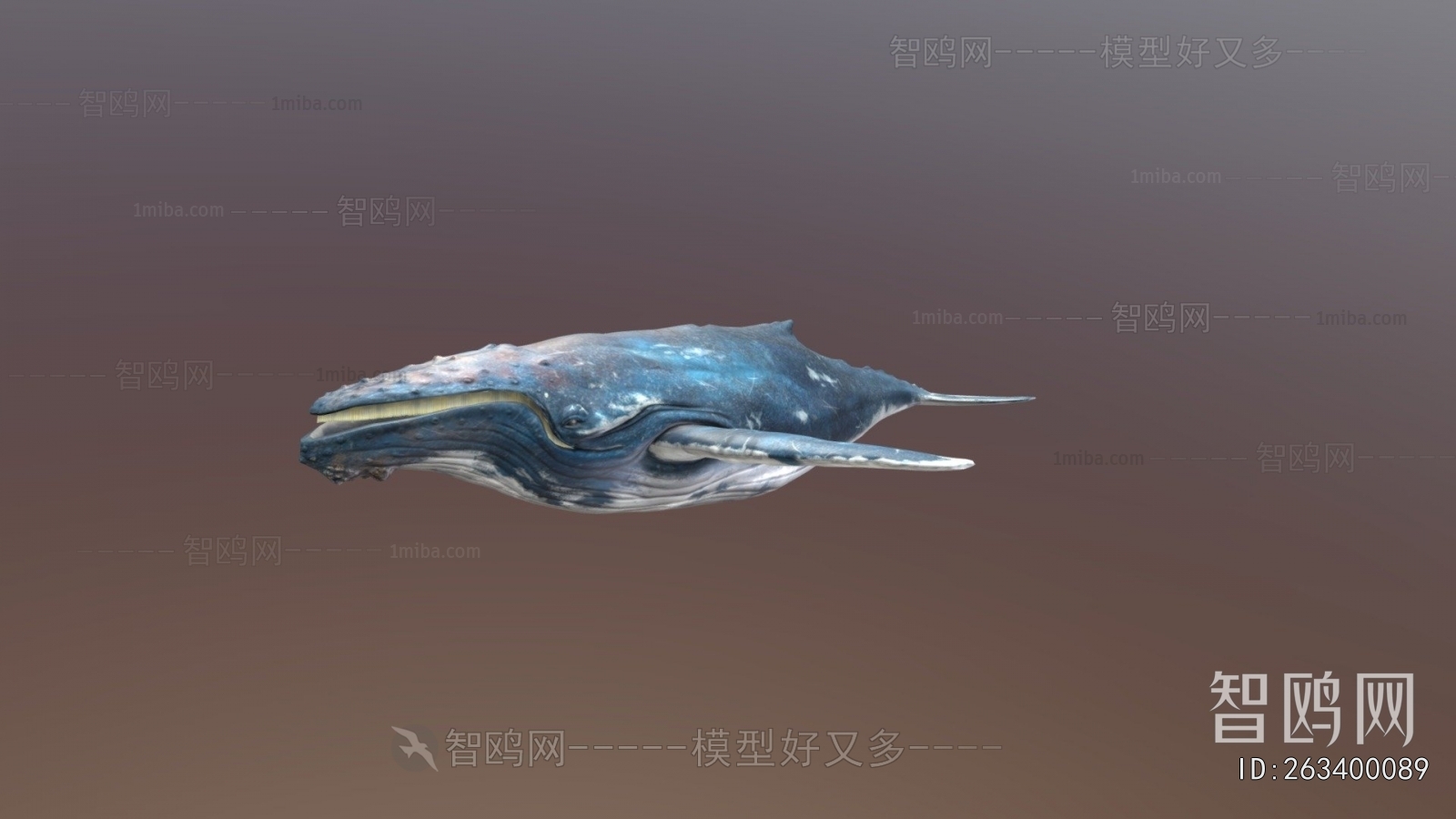 Modern Animal