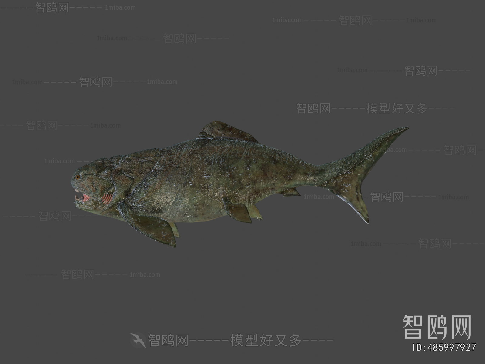 Modern Aquatic Animals