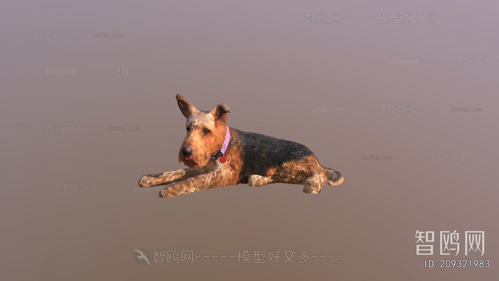 Modern Animal Dog