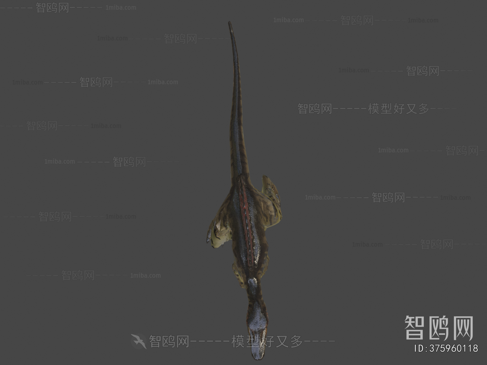 Modern Animal