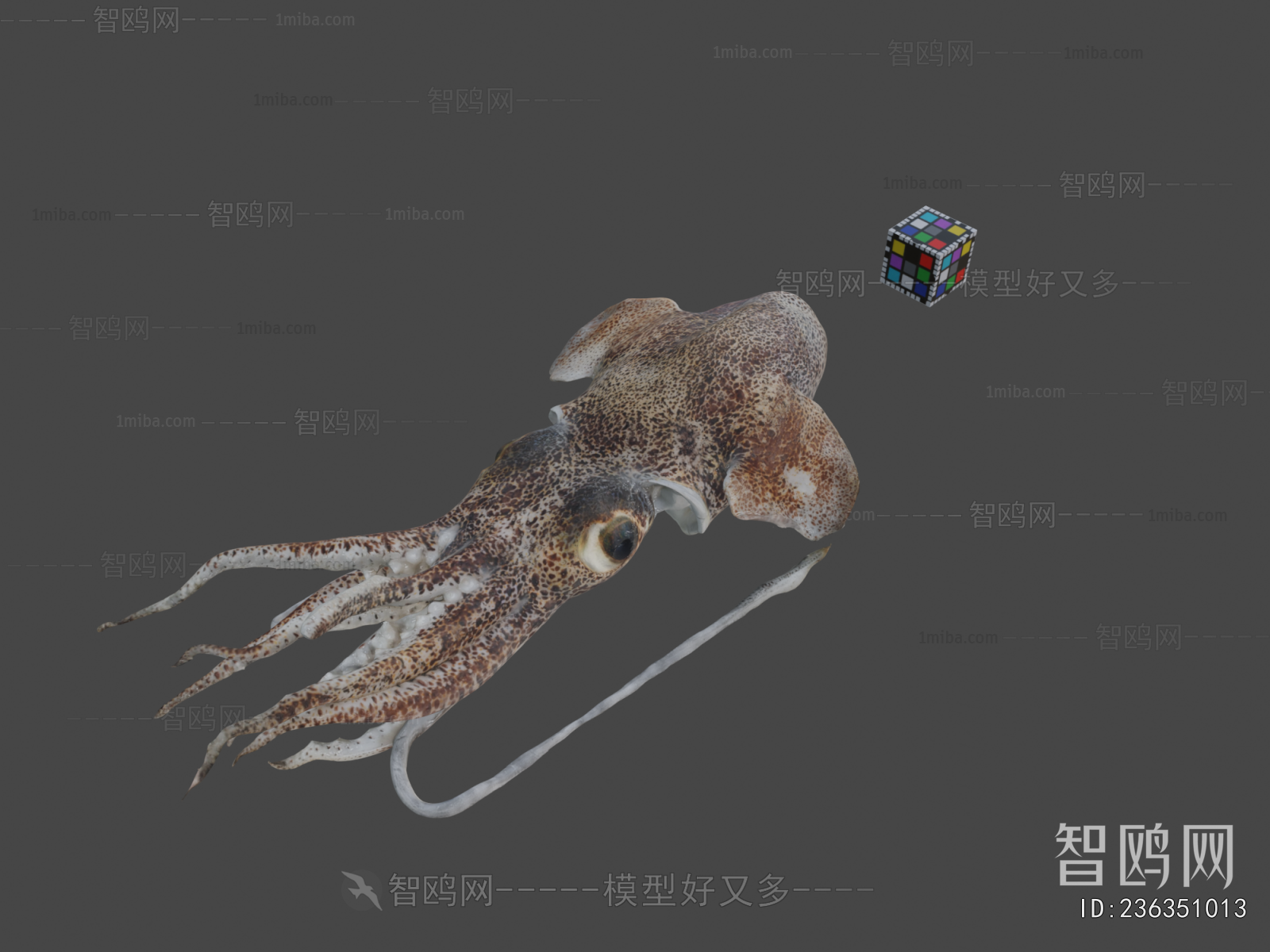 Modern Aquatic Animals