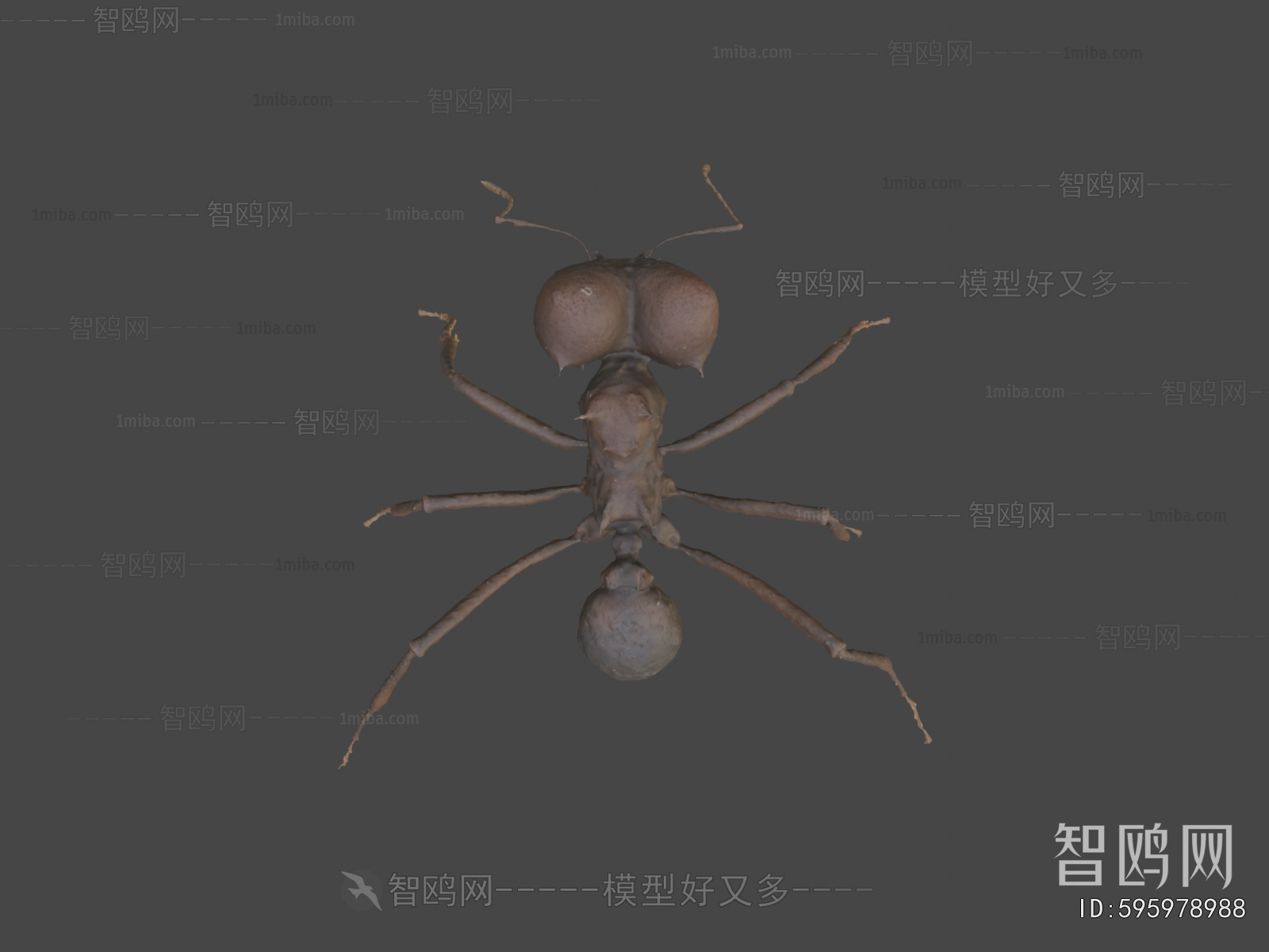Modern Animal