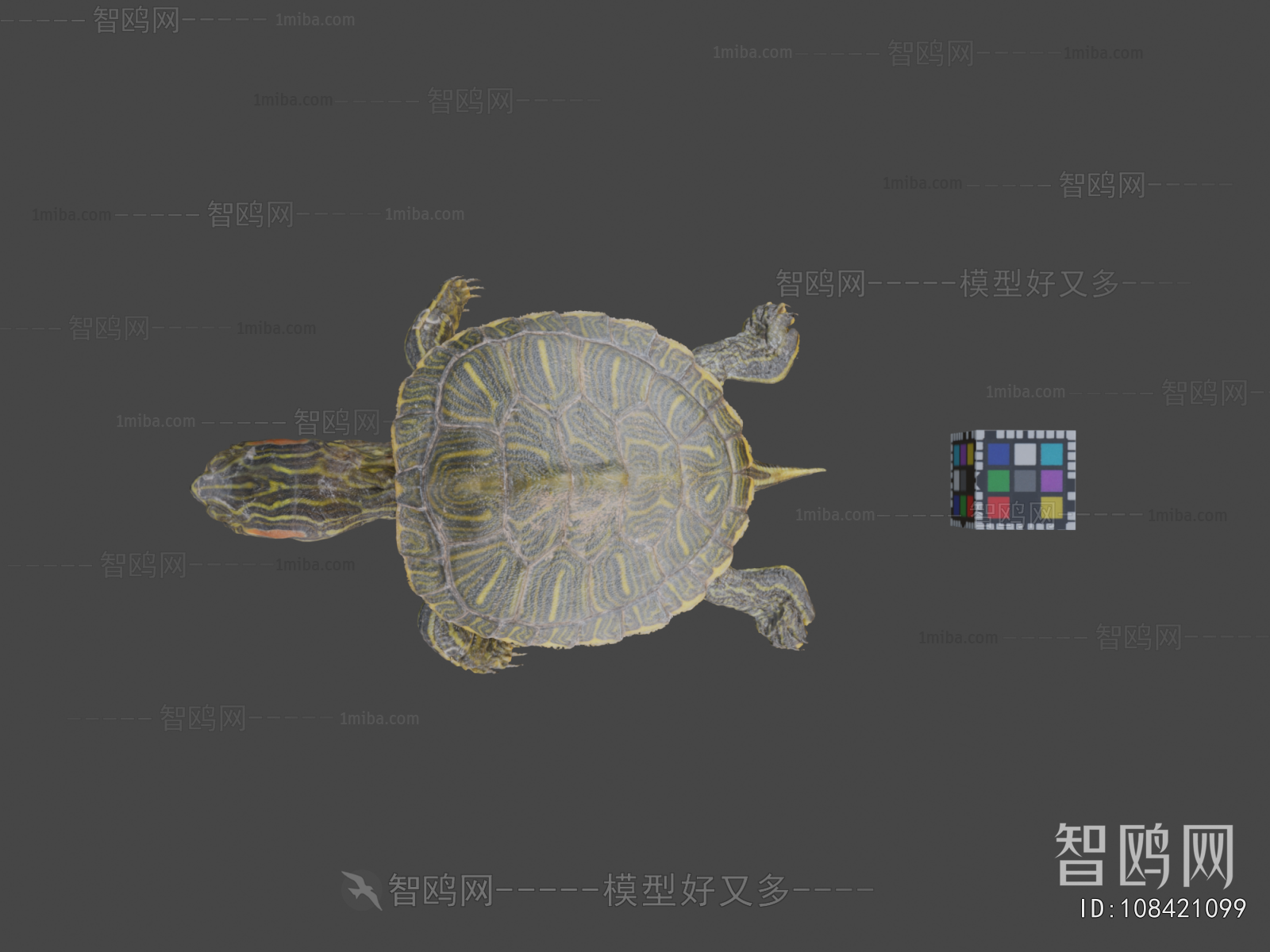 Modern Animal