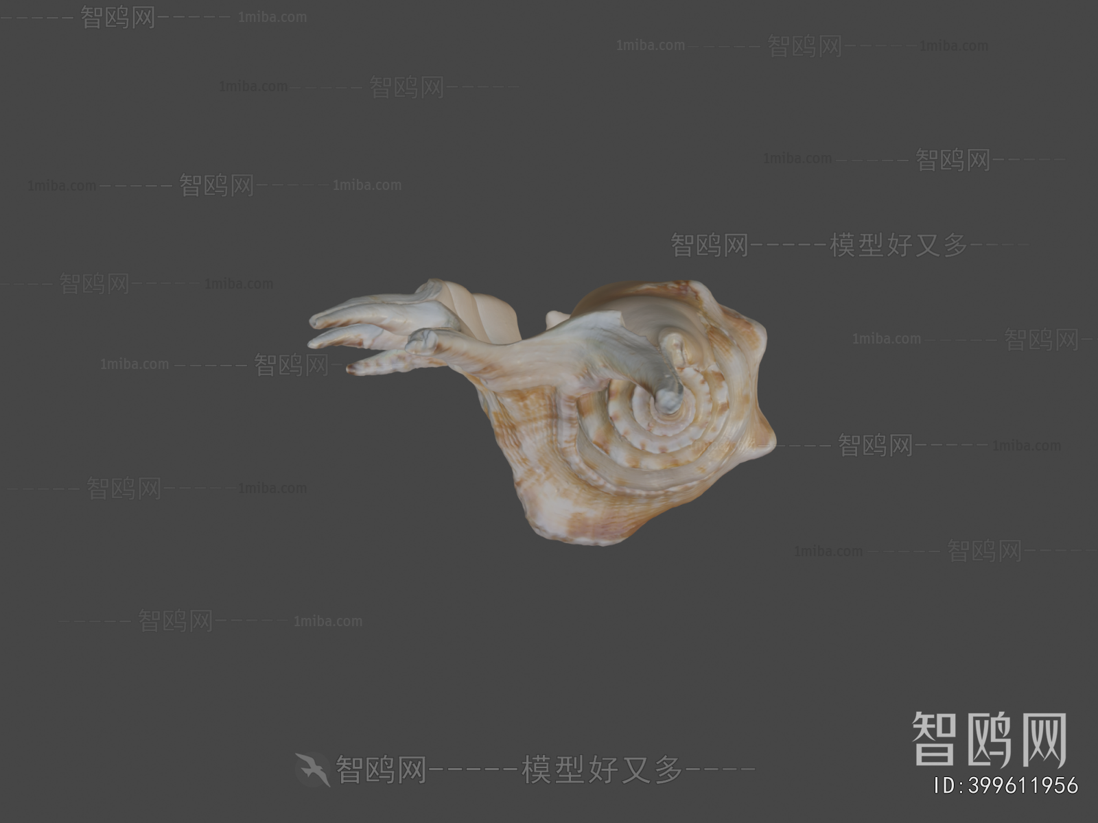 Modern Aquatic Animals