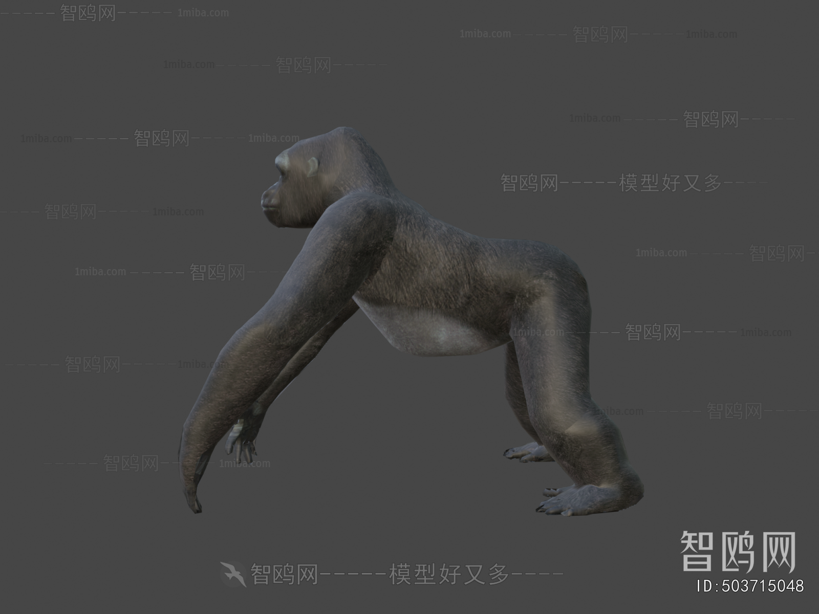 Modern Mammal