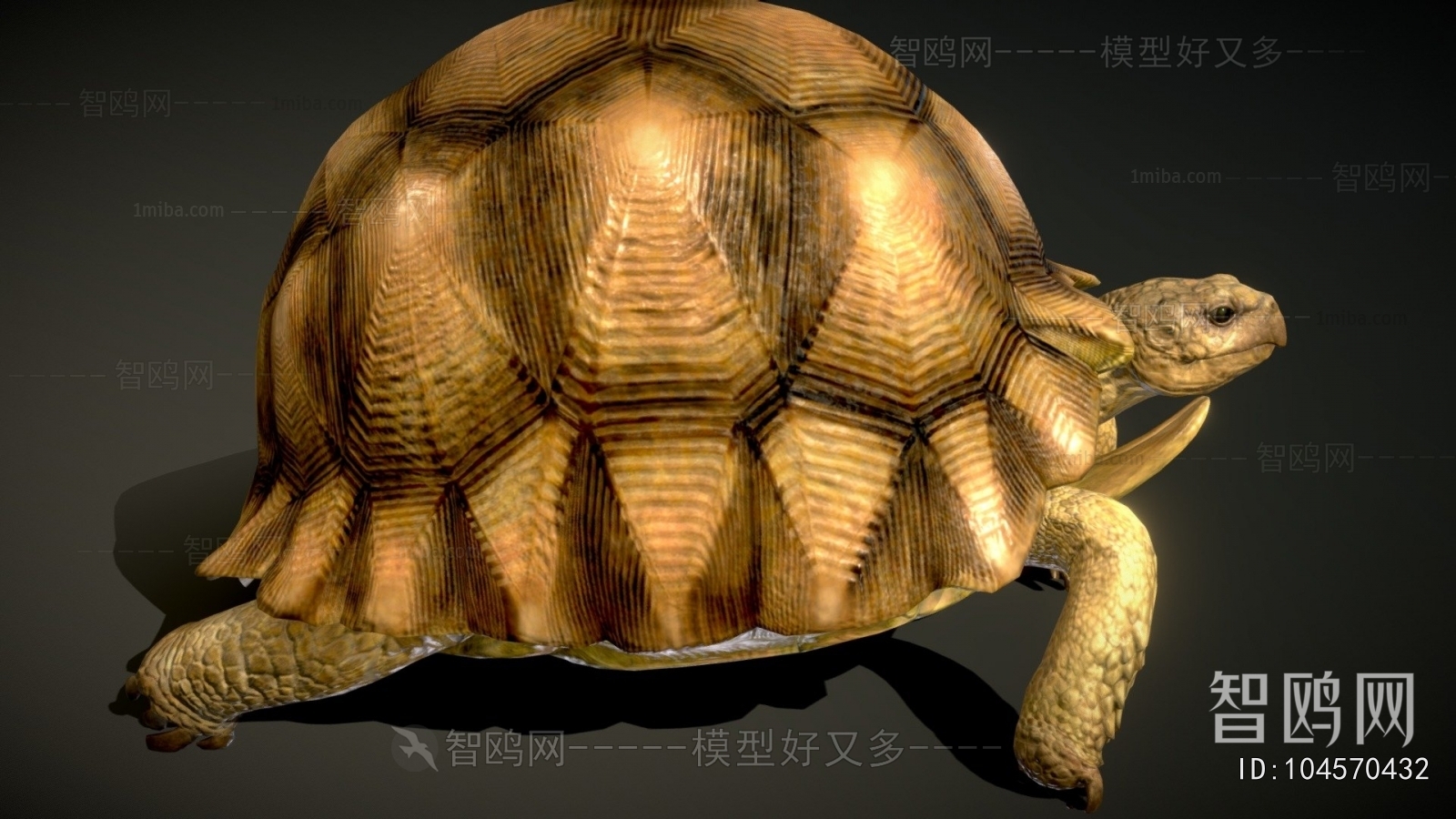 Modern Animal