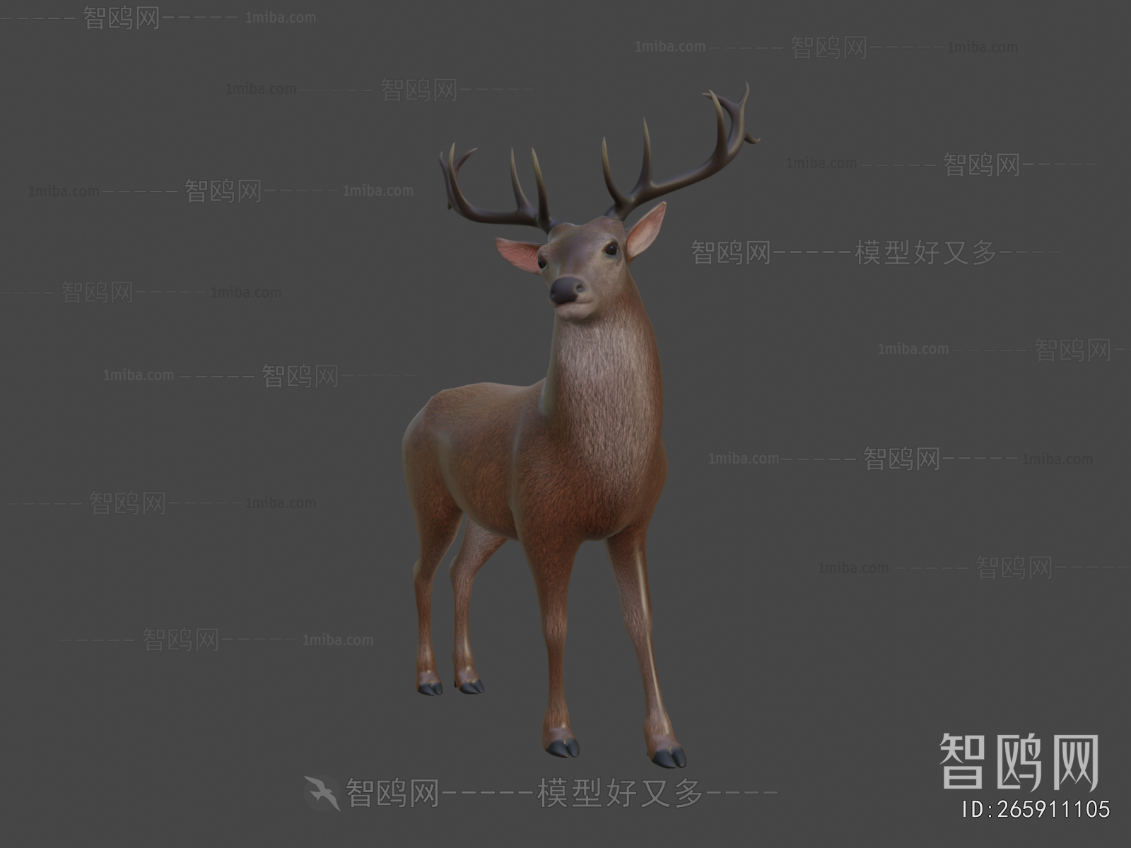 Modern Mammal