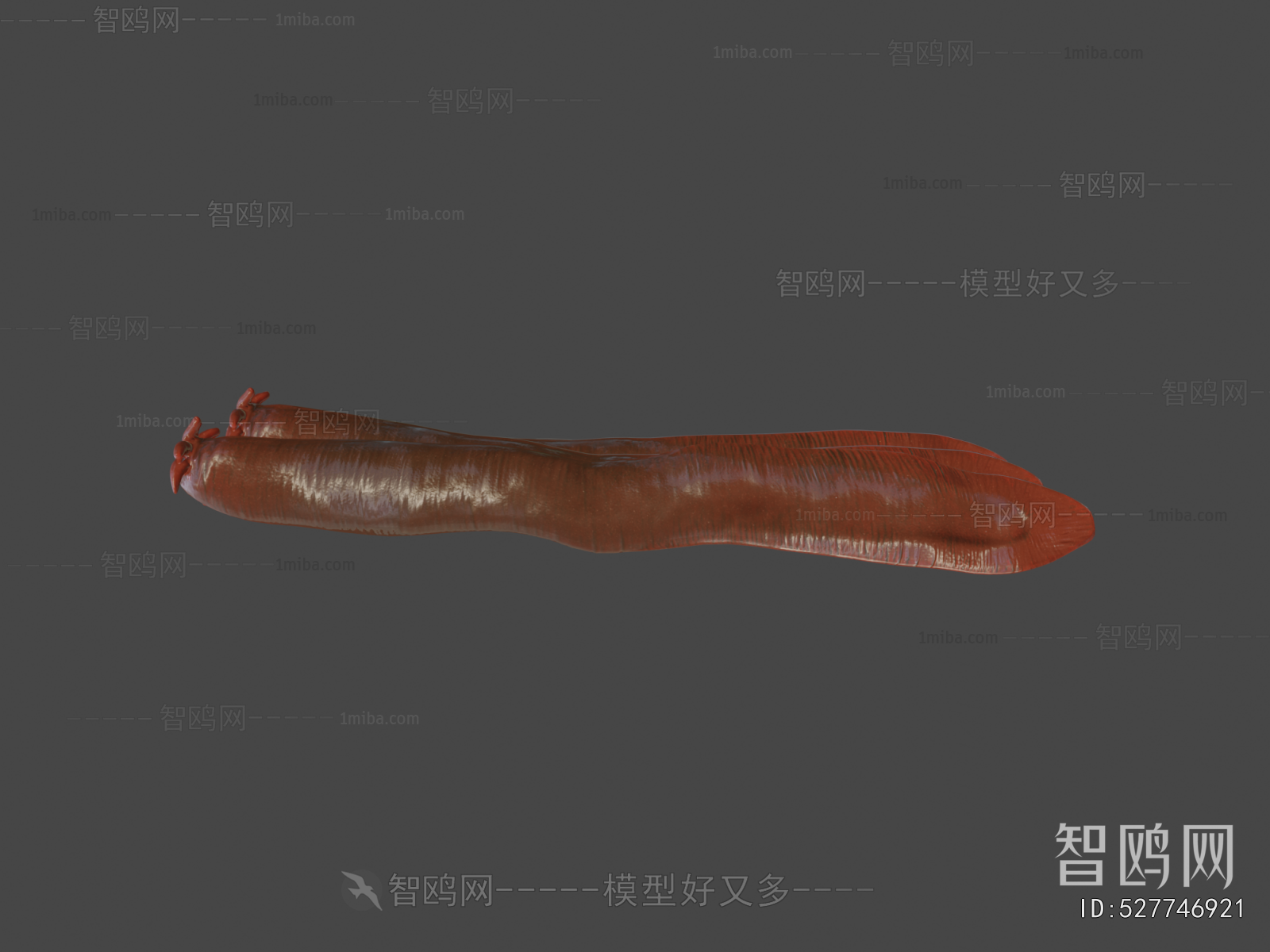 Modern Animal