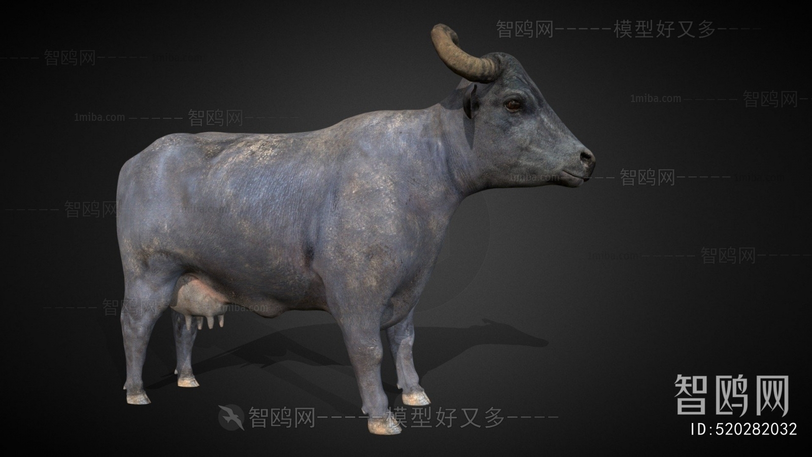 Modern Animal