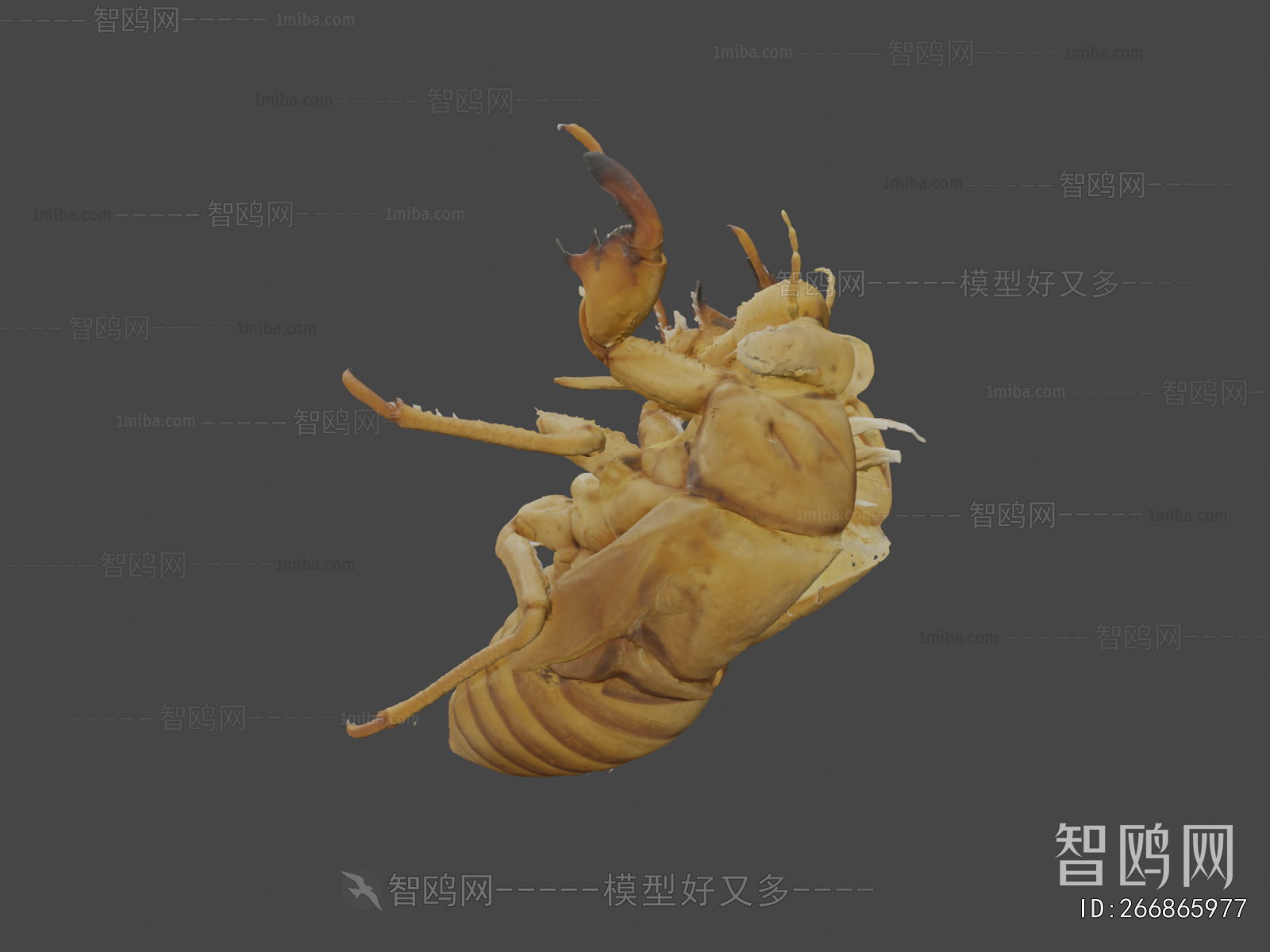 Modern Animal