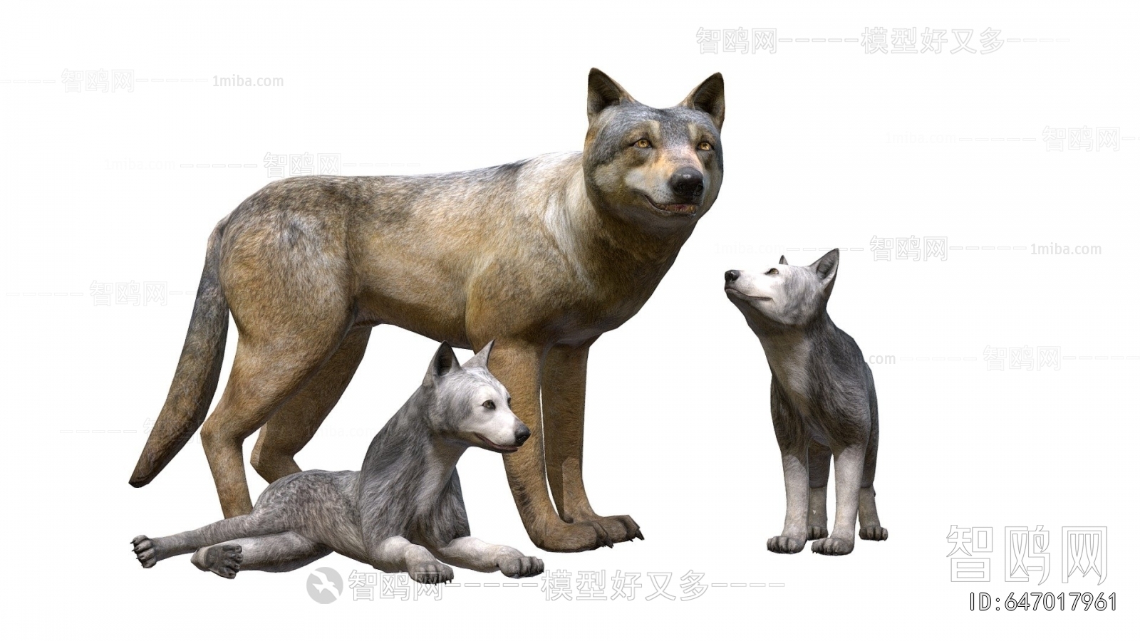 Modern Mammal