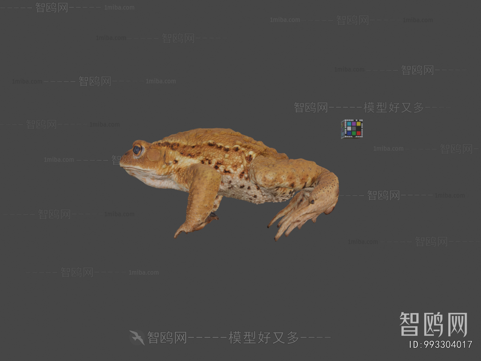 Modern Animal