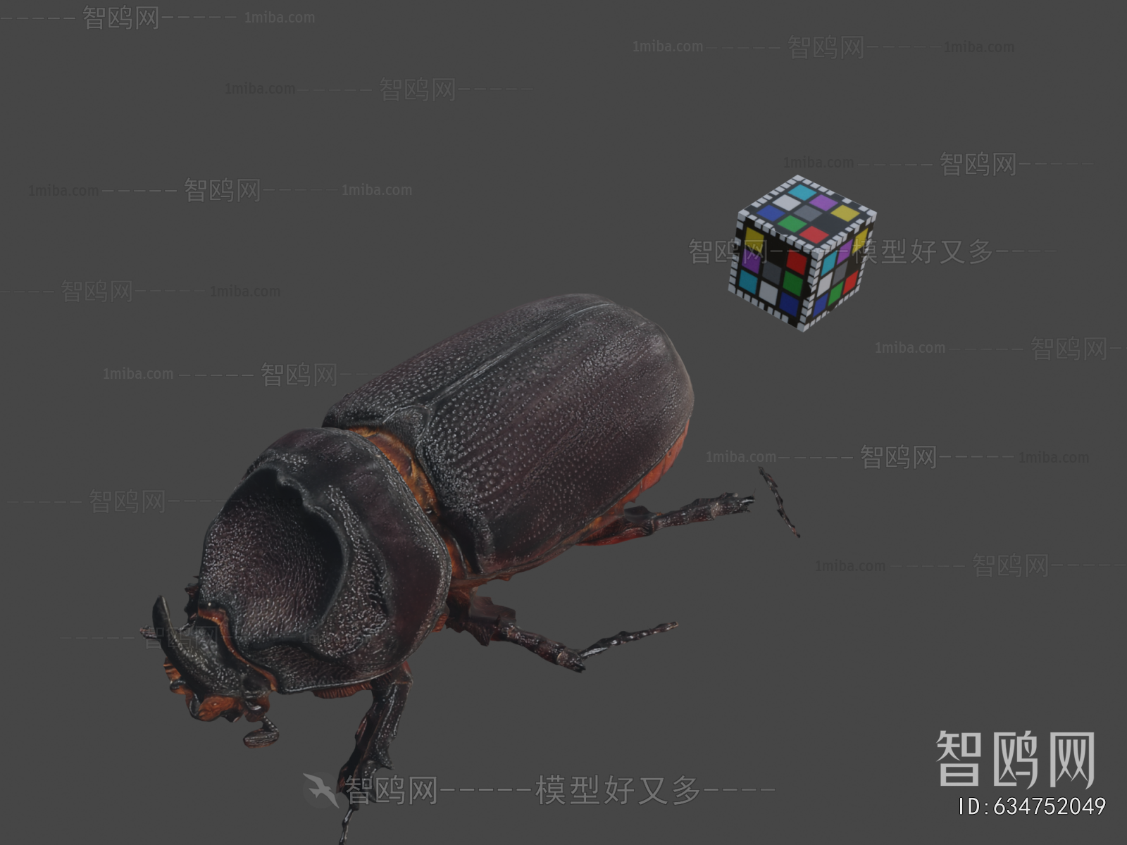 Modern Animal